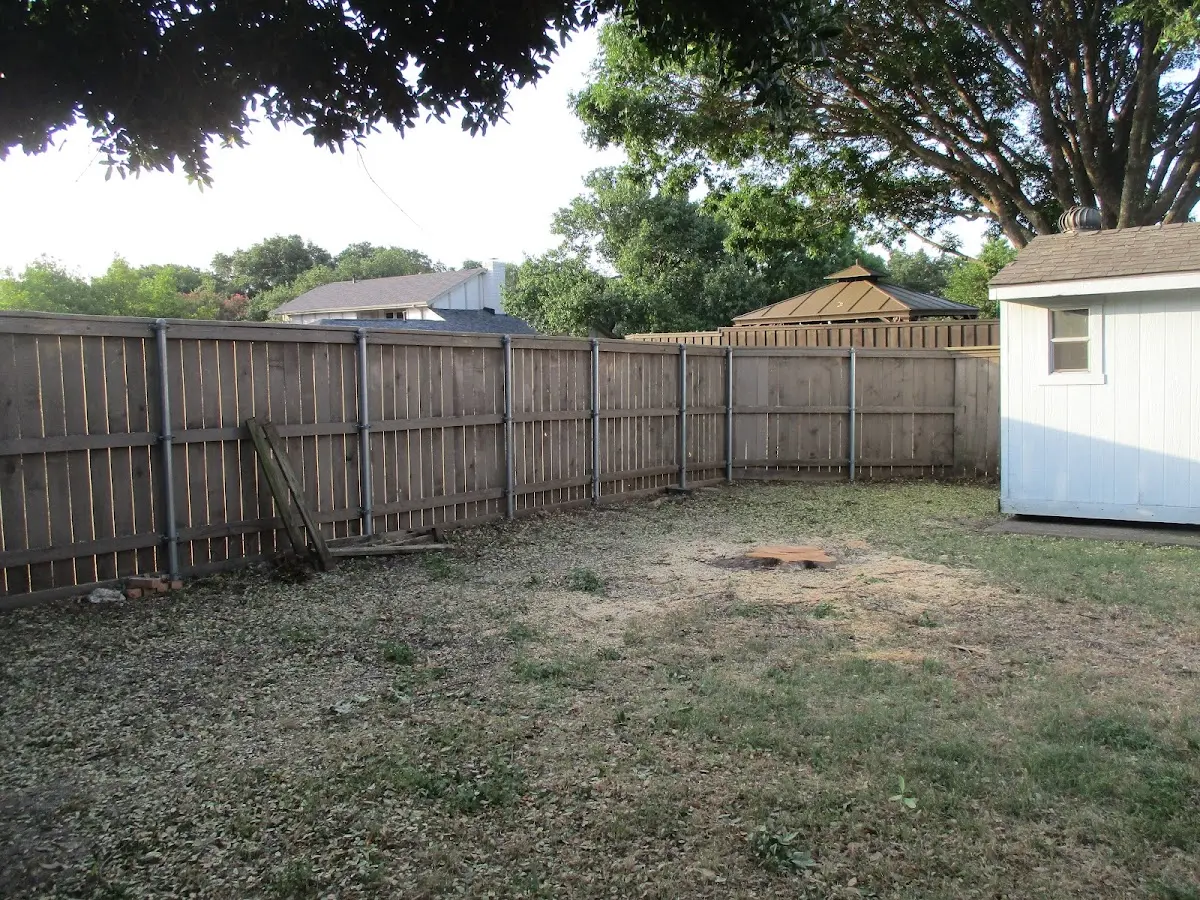 Cleared yard after professional tree removal in Frakes